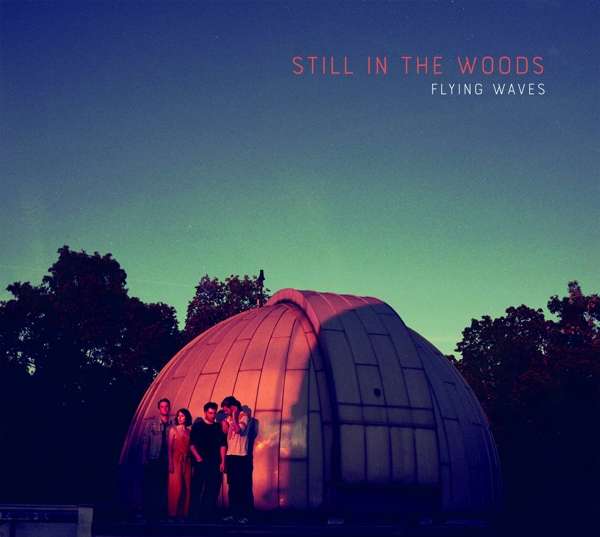 Still In The Woods: Flying Waves